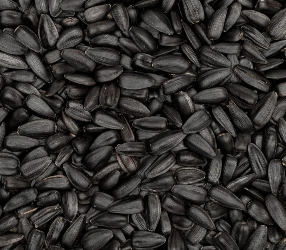 Aceite de Semilla Negra