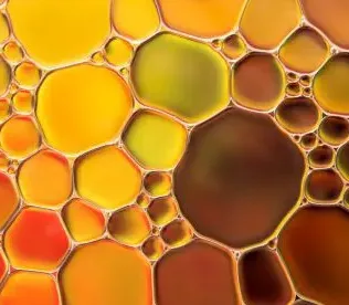 Aceite de Orégano